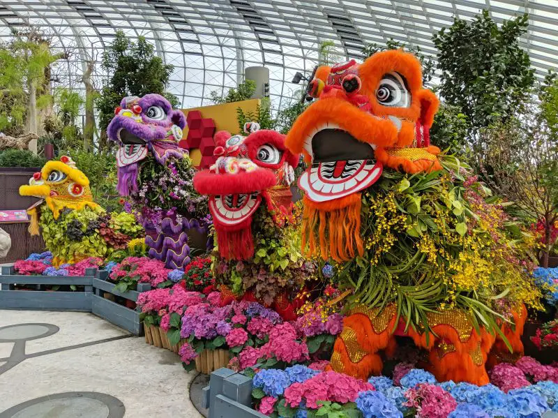 Chinese lions made with yellow flowers and surrounded by colorful pink, purple, and blue hydrangeas