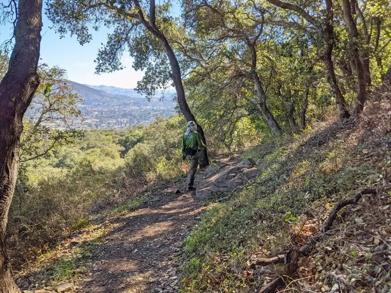 Justin Huynh, Life Of Doing, walk into the forest area of Bishop Peak hiking trail in San Luis Obispo, California
