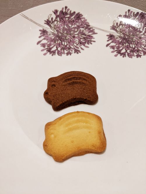 Wild boar cookies - one cocoa and the other one is butter