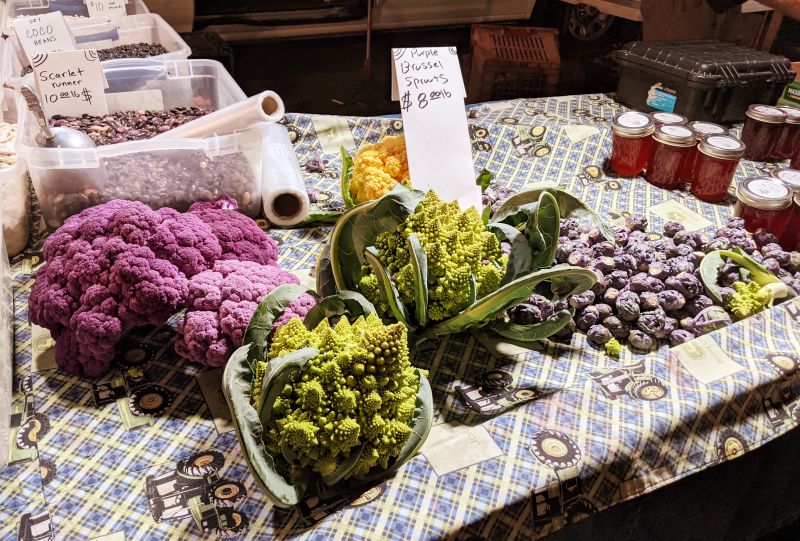 Purple califlower, purple Brussel sprouts, and green cauliflower at the San Luis Obispo Farmers Market, California