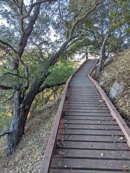 Walking platform on Mount Madonna hike in San Luis Obispo, California
