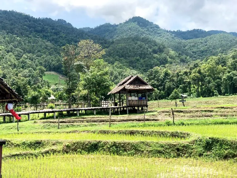 Green rice fields and mountains in Pai, Thailand