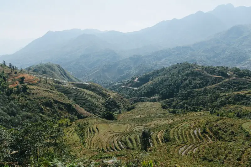 Green rice terraces and mountains in Sapa, Vietnam