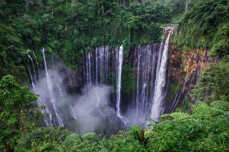 Tumpak Sewu Waterfall has long cascades falling into a pool at the bottom and the area is surrounded by green jungles.