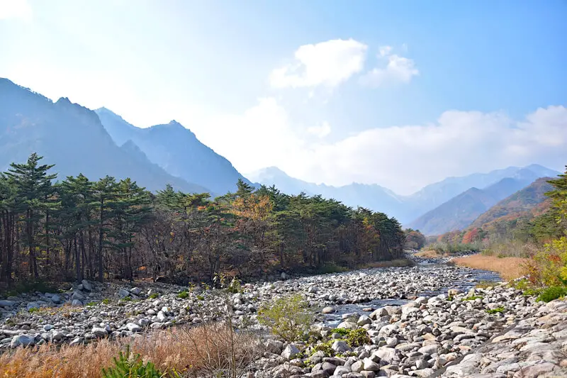 A small river passes through rocks and trees in Seoraksan National Park, South Korea