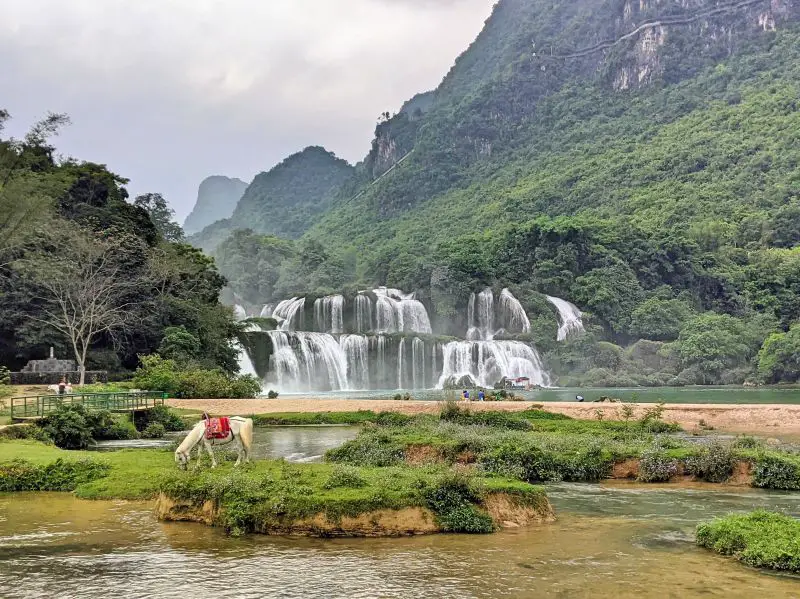 A white horse stands in front of the Ban Gioc Waterfall in Cao Bang, Vietnam