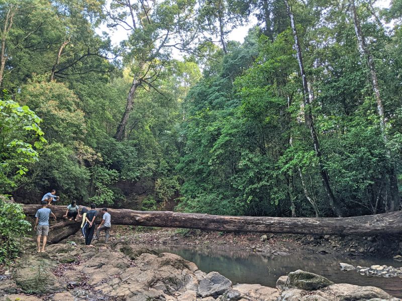 A group of people climbing over a fallen tree trunk at the Bu Gia Map National Park campsite.