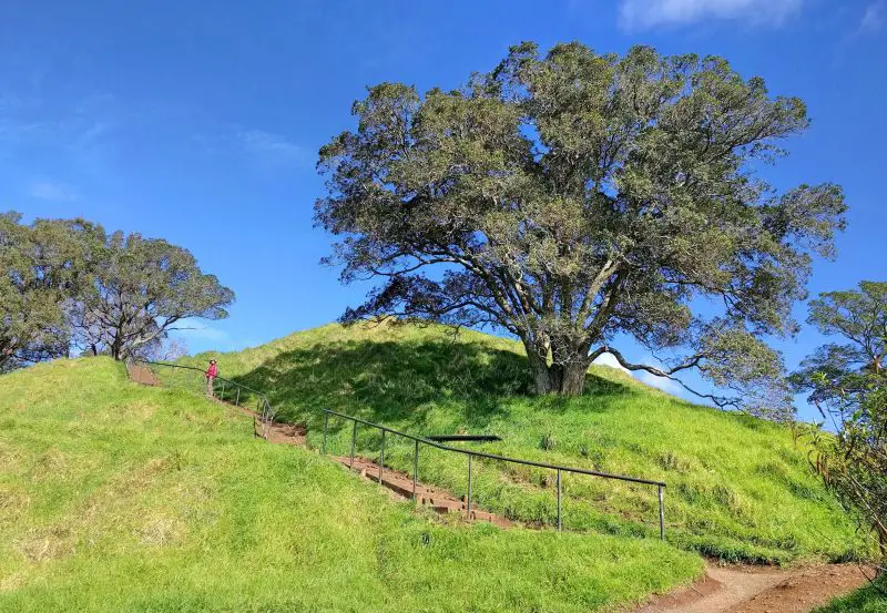 Mount Eden's hiking trail has a handrail and steps for easier access at Auckland, New Zealand
