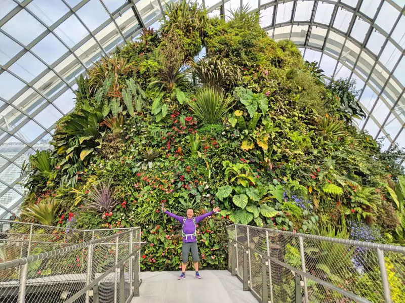 Justin Huynh, Life Of Doing, holds out his hands while standing in front of tropical plants and foliage at the Cloud Forest in Singapore