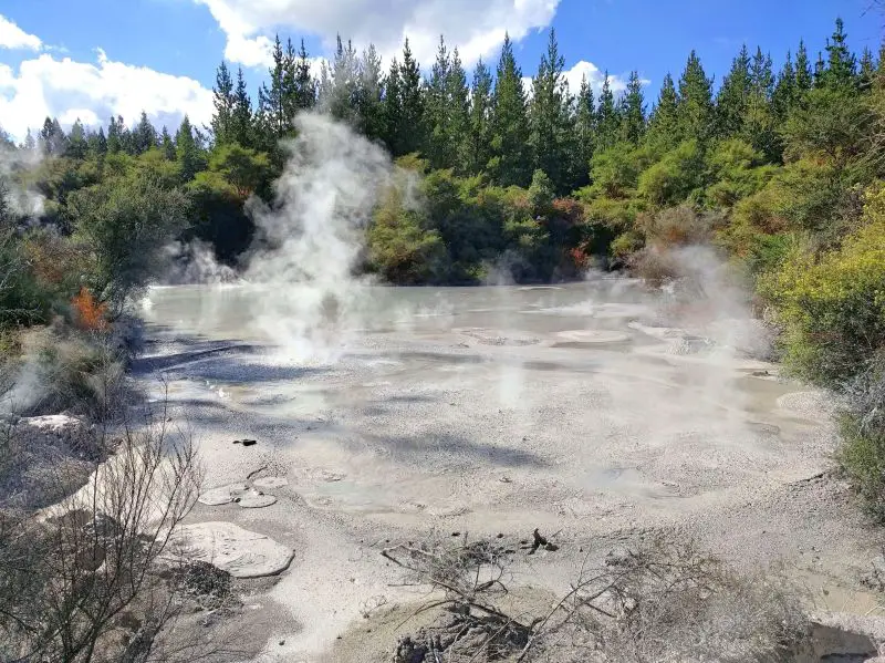 Steam releases from the mud pool vents at Waiotapu mud pools in Rotorua, New Zealand