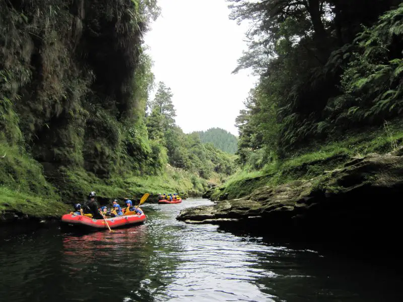 Two groups rafting along the Rangitikei River in New Zealand