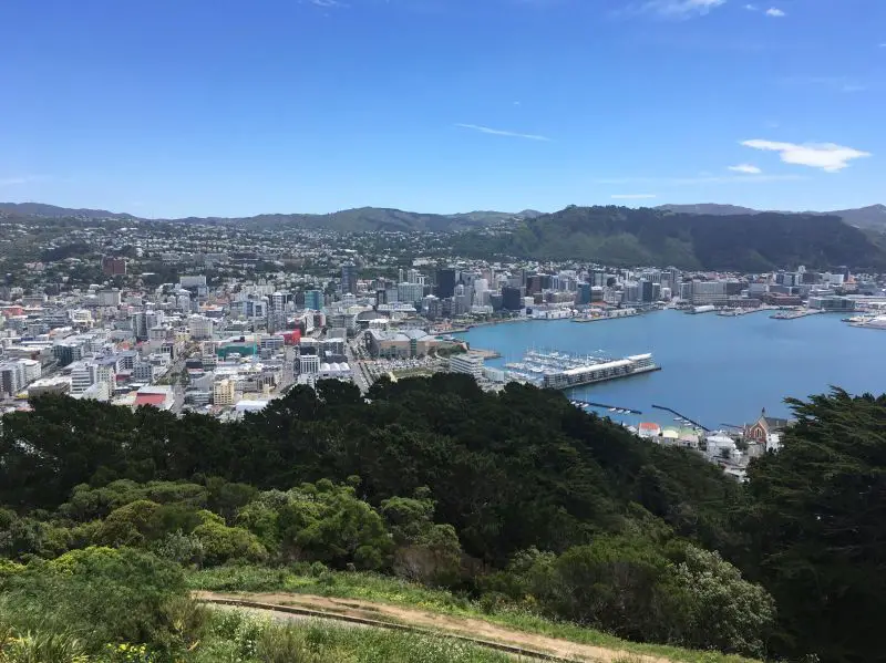 View of the city and harbor from Mount Victoria in Wellington, New Zealand