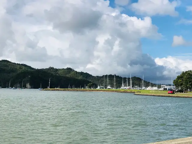 A bay with yachts and boats in Whitianga, New Zealand
