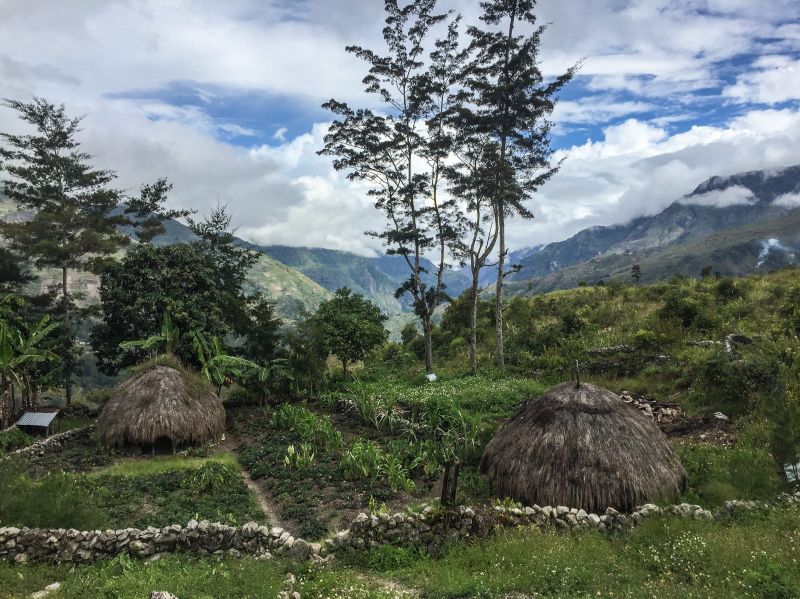 A remote village in Baliem Valley, Papua with housing made from leaves.