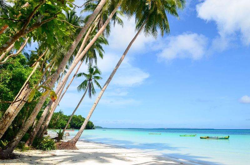 Palm trees along a white sandy beach and blue waters in Kei Islands, Indonesia