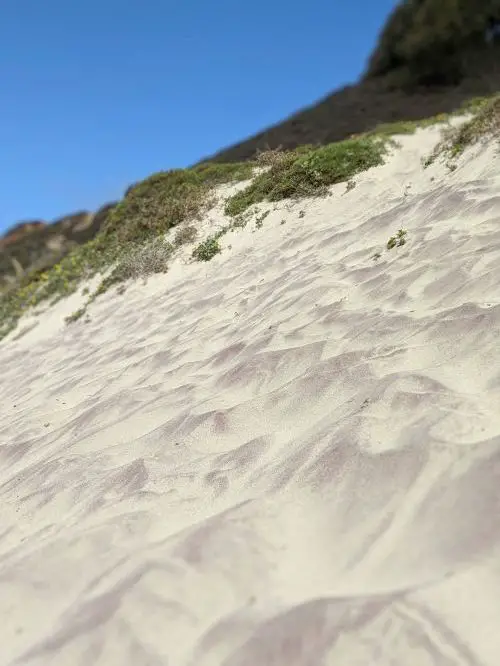 Purple sand on a dune at Pfeiffer Beach, Big Sur, California