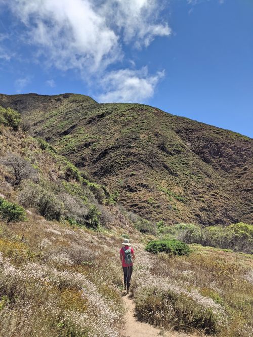 Jackie Szeto, Life Of Doing, walks between the pink wildflowers of Soberanes Canyon Trail