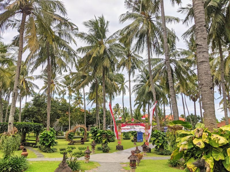 Palm trees, green plants, and lawns at Ketapang Indah Hotel, Banyuwangi, Indonesia