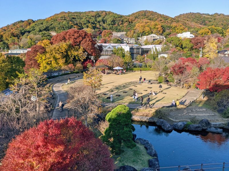 Visitors walking in the garden area of Ikeda Castle Park with fall colored leaves