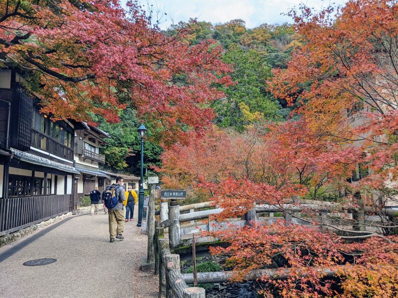 A few visitors walking on the sidewalk while looking at the red and orange fall colored leaves at Minoh Park, Japan