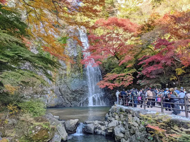 Red and orange maple leaves surround the Minoh Waterfall, located in Minoh Park, Osaka Prefecture