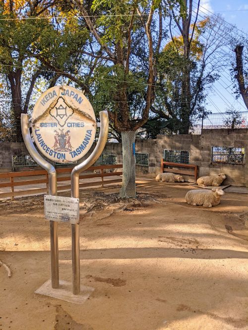 Satsukiyama Zoo in Ikeda City, Japan has a sign stating that it's a sister city of Launceston, Tasmania and sheep in the background