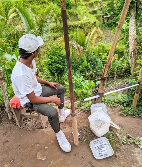 A man sitting on a chair and collecting money to cross the Tegallalang rice terraces in Ubud