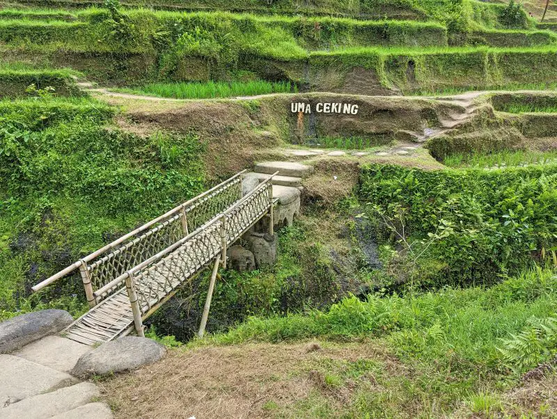A bamboo bridge, courtesy of Uma Ceking, at Tegallalang rice terraces