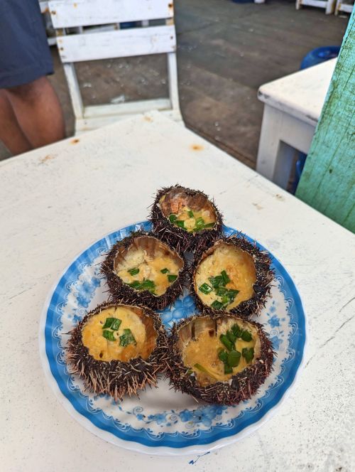Five pieces of grilled sea urchin cooked with egg and green onions at Be Ca Anh Sang, Phu Quy