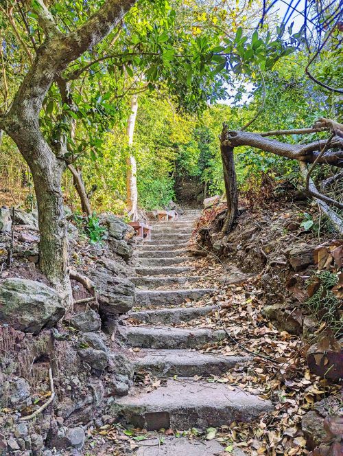 Stone stairs in a forest that leads to the Phu Quy Lighthouse