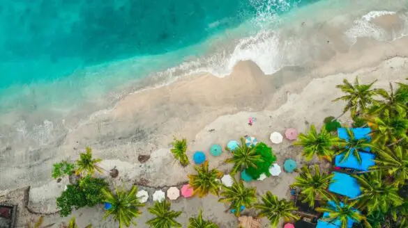 Aerial view of ocean and umbrellas and palm trees on a white sandy beach