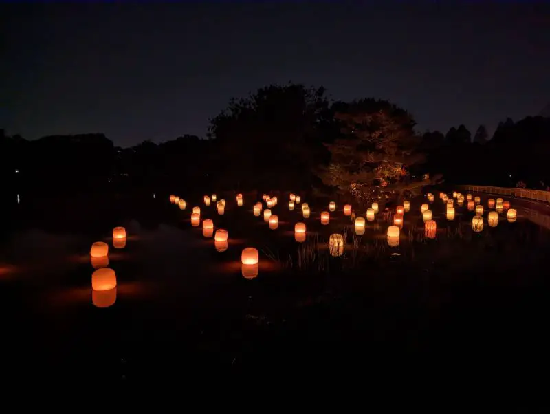 Glowing golden yellow lamps on a lake, one of the exhibits at TeamLab Botanical Garden Osaka