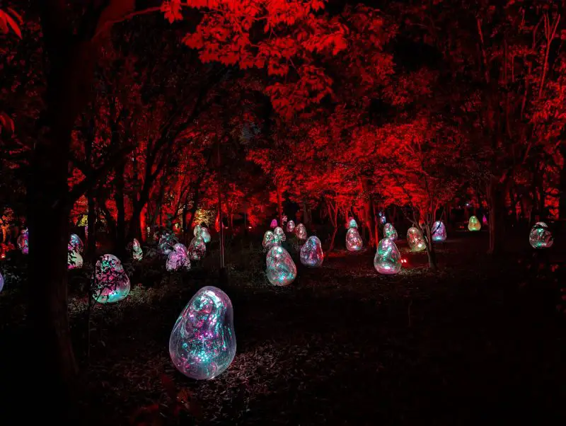 An exhibit at TeamLab Botanical Garden Osaka has colorful egg-shaped objects in a forest glowing a red color