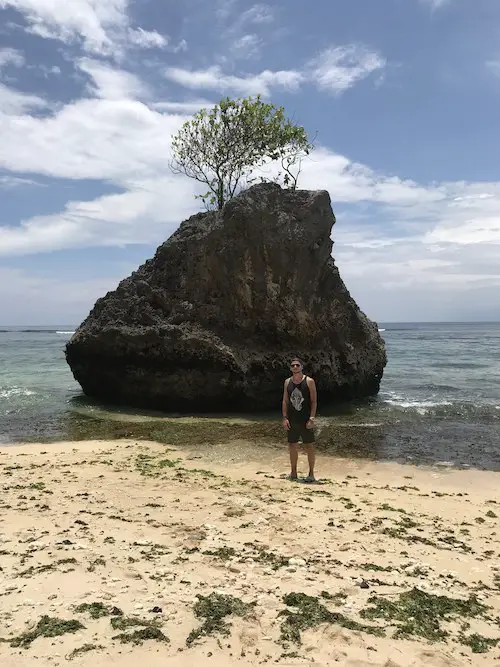 A man standing in front of a rock with a tree growing on the top at Bingin Beach in Uluwatu, Bali