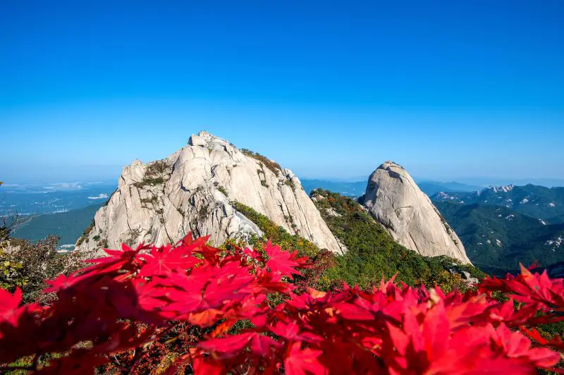 The large rocks of Baegundae Peak at Bukhansan National Park with red autumn colored leaves
