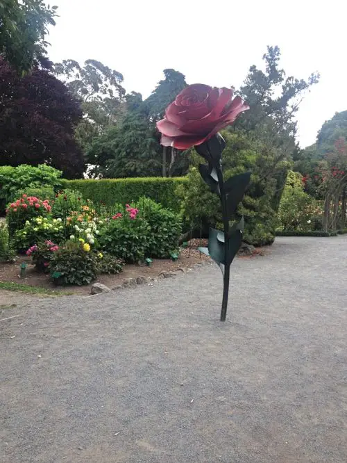 A red rose sculpture in the Christchurch Botanic Garden, New Zealand