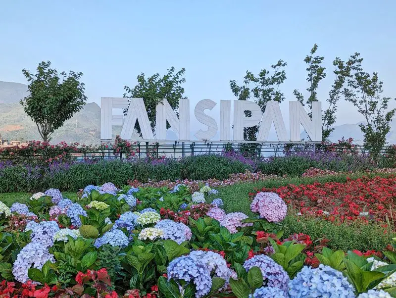 Blue and pink hydrangea flowers in front of a white Fansipan sign at the Fansipan Cable Car Station