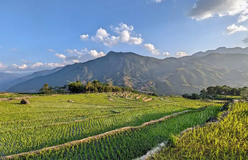 Green rice terraces on the mountainous region of Sapa in Vietnam