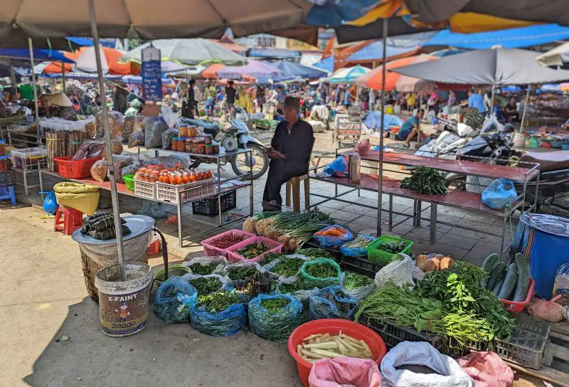 A man selling fresh vegetables and herbs and pickles at Bac Ha Market