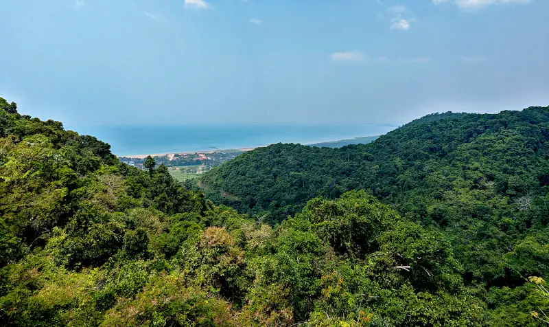 View of the Kep National Park's forest area stretches to the ocean