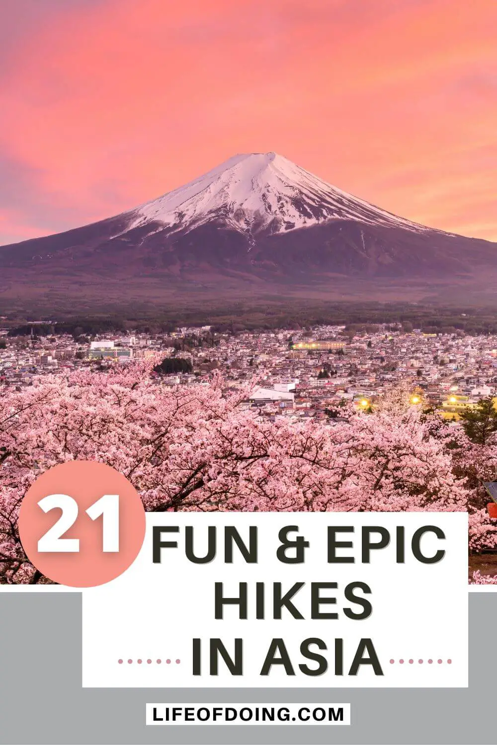 A springtime view of cherry blossoms and Mount Fuji, one of the top hikes in Asia to do