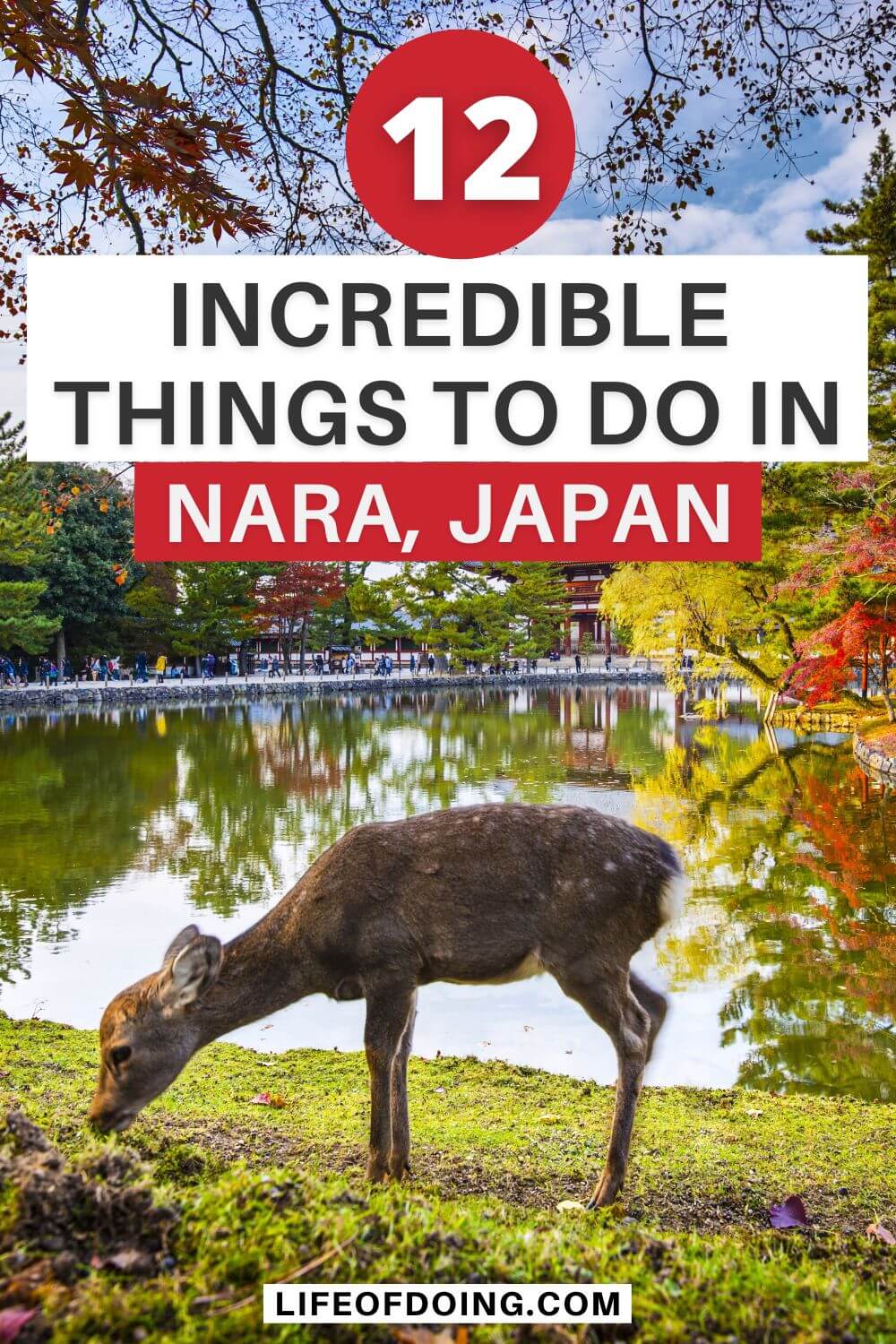 A deer munching on grass in front of a temple in Nara, Japan