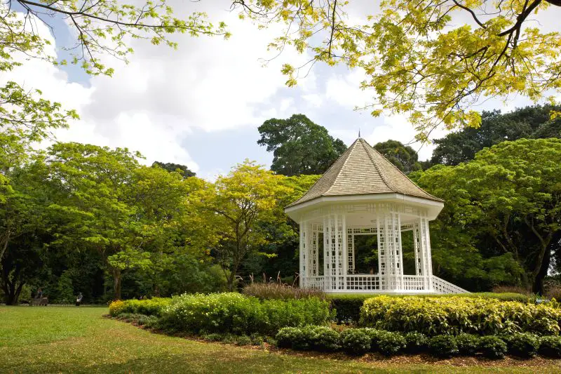 Singapore Botanic Gardens Guide: Plan Your Visit & Insider Tips