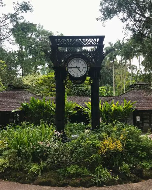 A clock tower at the Singapore Botanic Garden Orchid Plaza