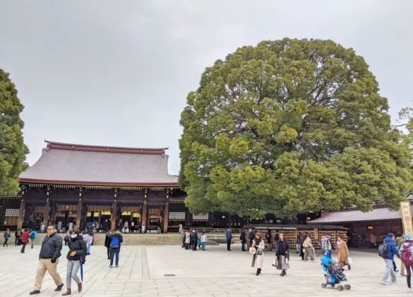 People walking on the courtyard area of Meiji Shrine in Tokyo, Japan