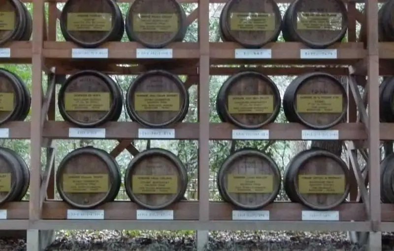Empty wine barrels on display at Meiji Shrine, Tokyo