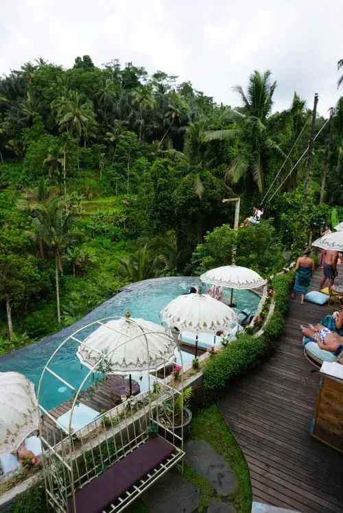 A pool and sunbeds with umbrellas overlooking the jungles of Ubud in Bali