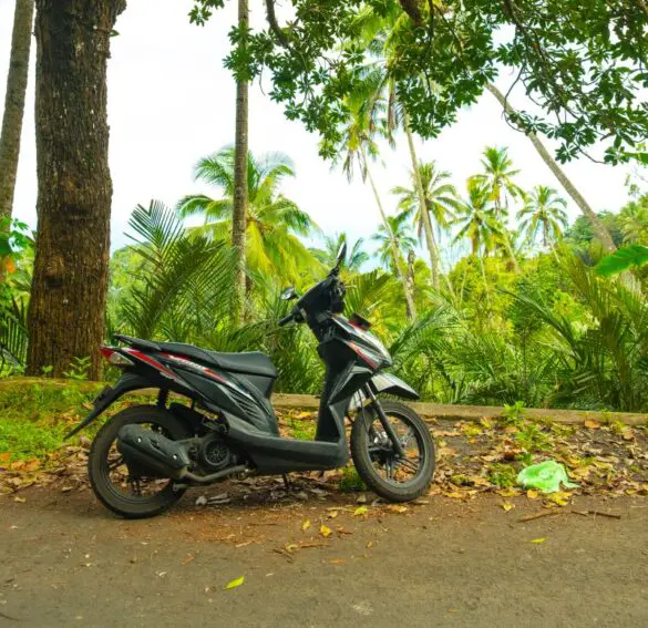 A parked motorbike on the side of the road with palm trees in the background
