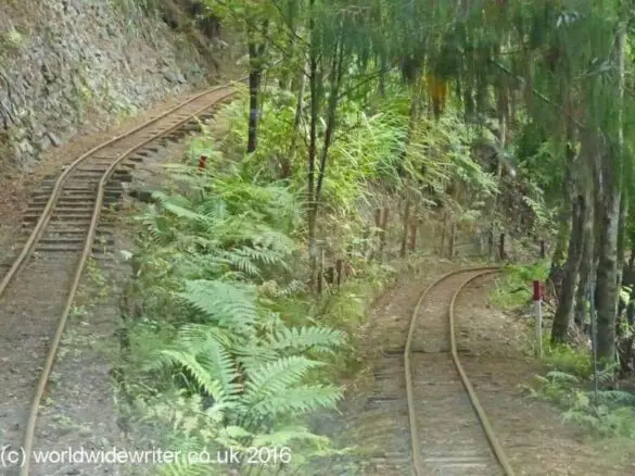 A railway line on the steep hillside of Driving Creek Railway