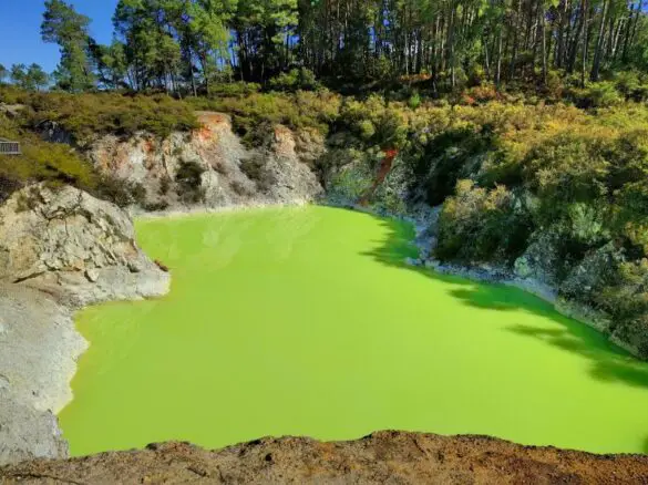 A neon green geothermal hot spring called Devil's Bath at Wai-O-Tapu Thermal Wonderland